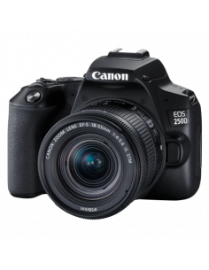 Зеркальный фотоаппарат Canon EOS 250D & EF-S 18-55mm f/3.5-5.6 DC III KIT