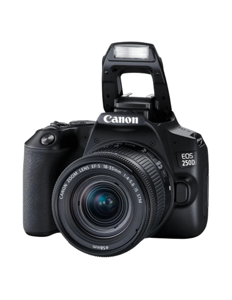 Зеркальный фотоаппарат Canon EOS 250D & EF-S 18-55mm f/3.5-5.6 DC III KIT