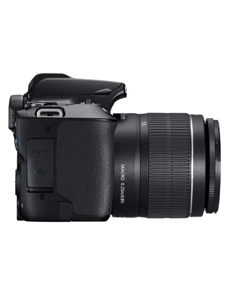 Aparat foto DSLR Canon EOS 250D & EF-S 18-55mm f/3.5-5.6 DC III KIT