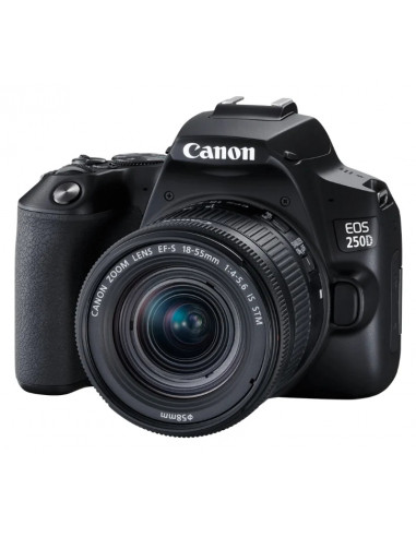 Зеркальный фотоаппарат Canon EOS 250D & EF-S 18-55mm f/3.5-5.6 DC III KIT