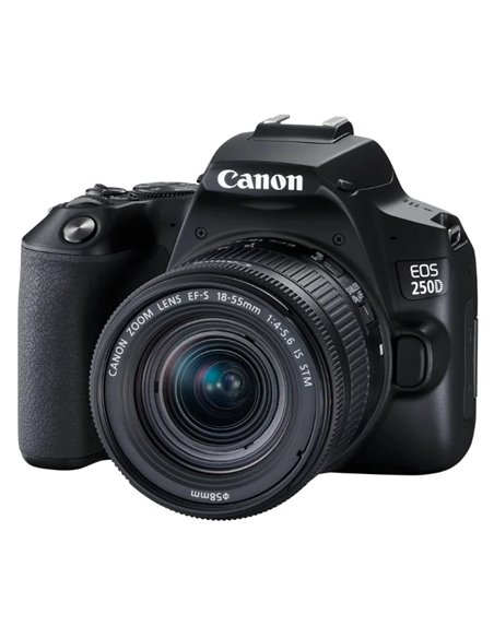 Aparat foto DSLR Canon EOS 250D & EF-S 18-55mm f/3.5-5.6 DC III KIT