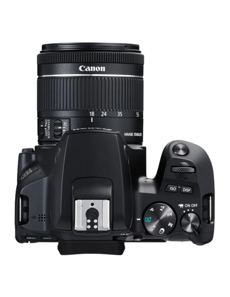 Зеркальный фотоаппарат Canon EOS 250D & EF-S 18-55mm f/3.5-5.6 DC III KIT