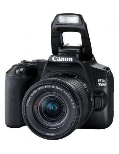 Aparat foto DSLR Canon EOS 250D & EF-S 18-55mm f/3.5-5.6 DC III KIT
