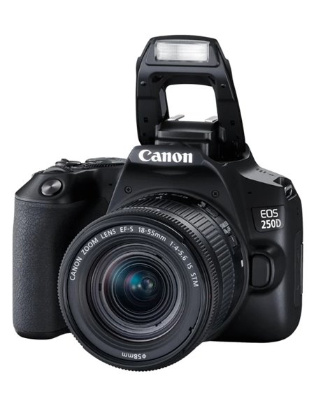 Aparat foto DSLR Canon EOS 250D & EF-S 18-55mm f/3.5-5.6 DC III KIT