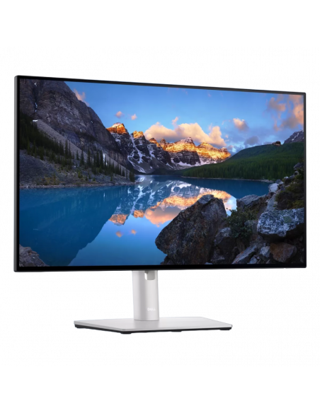23,8" Монитор DELL U2422H, IPS 1920x1080 FHD, Серебристый