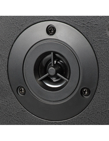 Компьютерные колонки 2.0 SVEN SPS-702, Чёрный