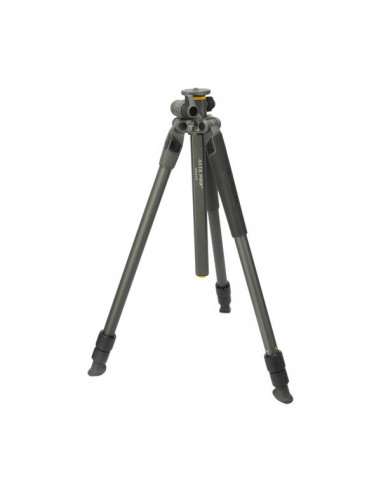 Tripied Foto-Video Vanguard ALTA PRO2+ 263AP, Cap Video, Gri