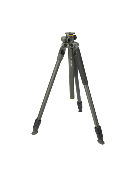 Tripied Foto-Video Vanguard ALTA PRO2+ 263AP, Cap Video, Gri