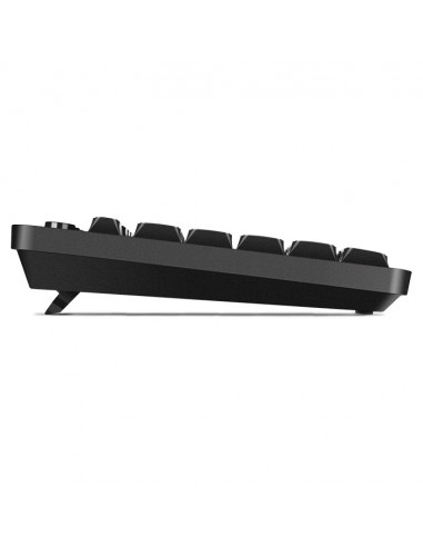 SVEN KB-C3060, Keyboard, Waterproof construction, 113 keys, 9 shortcut key, 1.5m, USB, Black, Rus/Ukr/Eng