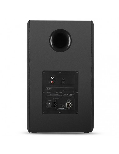 SVEN MC-30 Black, 2.0 / 2x100W RMS, D-CLASS AMPLIFIER WITH DSP, remote control, dimensions 225x255x355 mm, black, wooden.