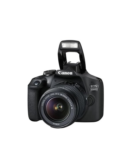Зеркальный фотоаппарат Canon EOS 2000D & EF-S 18-55mm f/3.5-5.6 DC III KIT