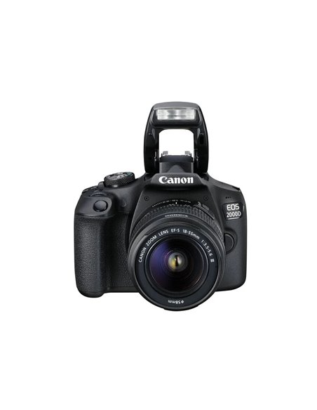 Зеркальный фотоаппарат Canon EOS 2000D & EF-S 18-55mm f/3.5-5.6 DC III KIT