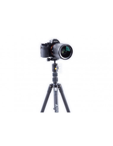 Tripied Foto-Video Vanguard VESTA TB 204AB, Cap trepied de minge, Negru