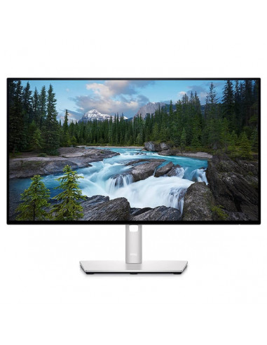 23,8" Монитор DELL U2422H, IPS 1920x1080 FHD, Серебристый