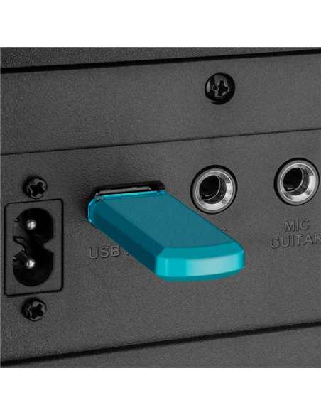Sistem audio SVEN PS-1000, Negru