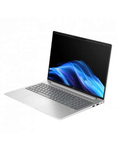 Laptop Business 16" HP ProBook 4 G1a 16, Pike Silver, AMD Ryzen 5 230, 16GB/512GB, FreeDOS