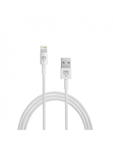 Helmet Car Charger with Lightning Cable 2xUSB 2.4A , Silver