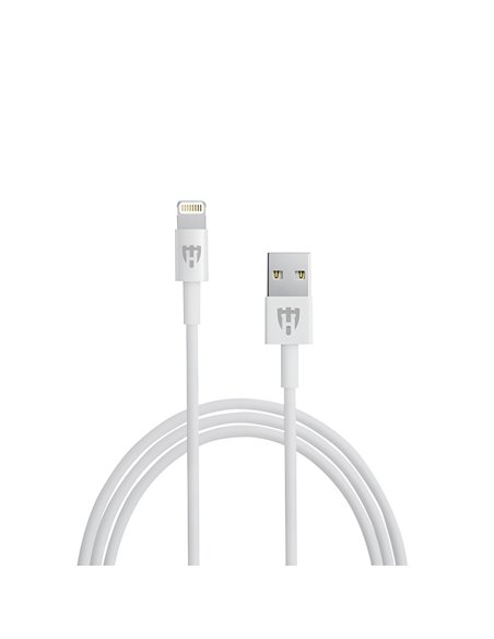 Helmet Car Charger with Lightning Cable 2xUSB 2.4A , Silver