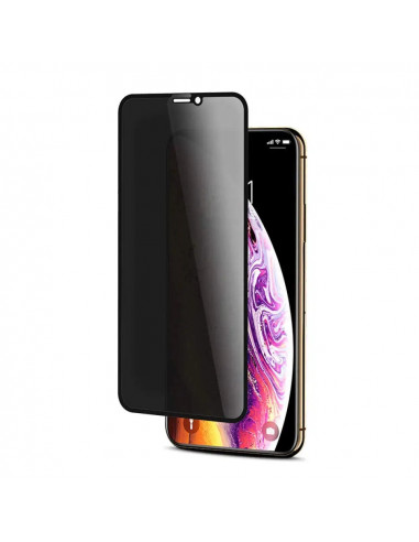 Helmet Glass Privacy iPhone 11 Pro Max/Xs Max