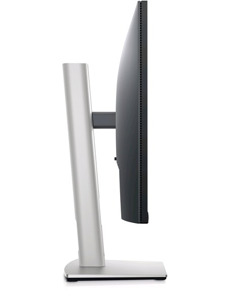 23.8” Монитор DELL P2422H / 5ms / FHD / Black/Silver