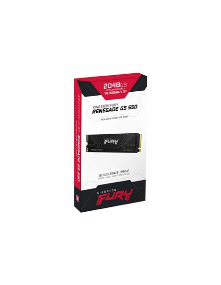 M.2 NVMe SSD Kingston Fury Renegade G5 2ТБ (SFYR2S/2T0)