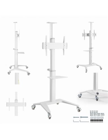 Suport de podea 37” - 70”, Gembird ”TVS-70T-02-W”, White
