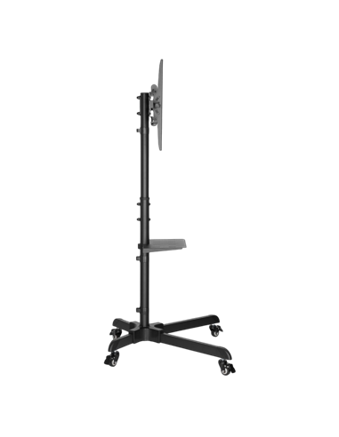 Подставка под телевизор на ножке Reflecta TV Stand 55P-Shelf, #23199, Чёрный