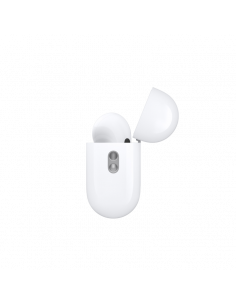 d 2
