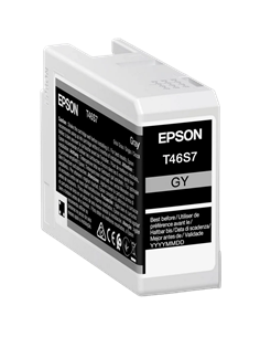 Картридж чернильный Epson T46S UltraChrome Pro 10, 25мл, Серый