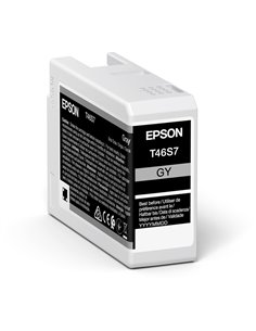 Картридж чернильный Epson T46S UltraChrome Pro 10, 25мл, Серый 2