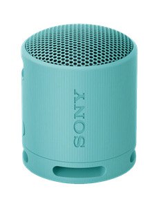 Портативная колонка SONY XB100, Светло-серый