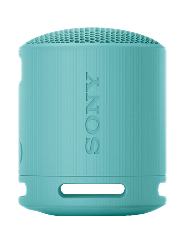 Портативная колонка SONY XB100, Светло-серый