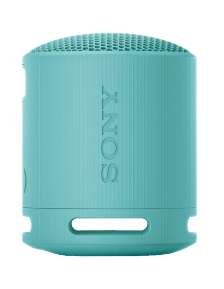 Портативная колонка SONY XB100, Светло-серый