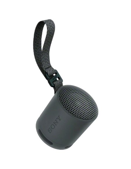 Boxă portabilă SONY XB100, Negru