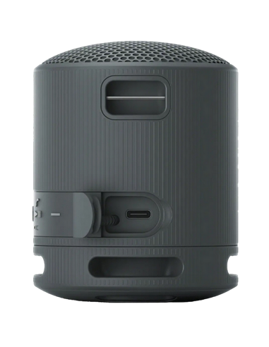 Портативная колонка SONY XB100, Чёрный