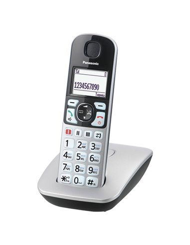 Радиотелефон Panasonic KX-TGE510, Серебристый