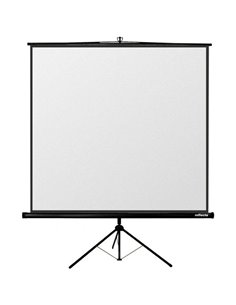 Ecran cu stativ Reflecta Crystal-Line, 1:1 2