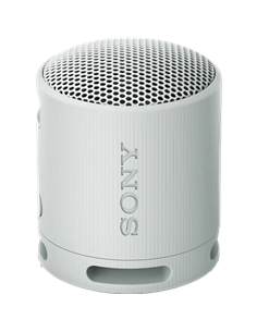 Портативная колонка SONY XB100, Светло-серый