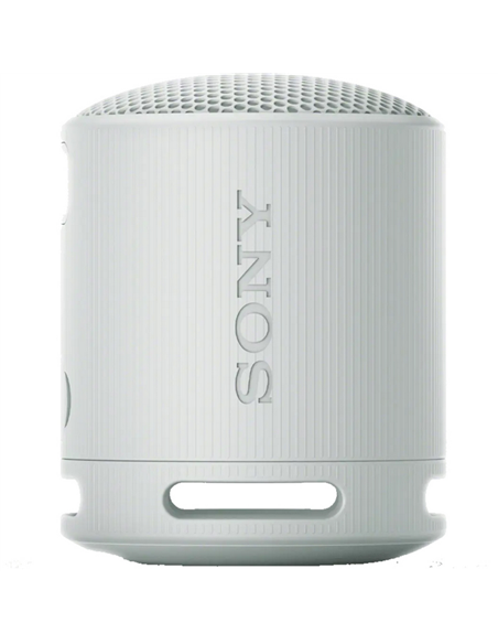 Портативная колонка SONY XB100, Светло-серый