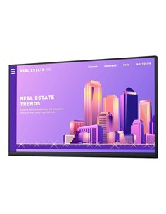 23.8” Монитор DELL P2422H / 5ms / FHD / Black/Silver 2