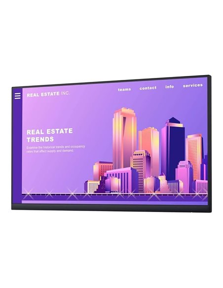 23.8” Монитор DELL P2422H / 5ms / FHD / Black/Silver