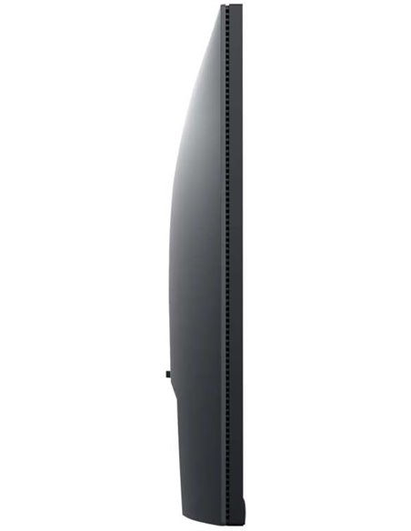 23.8” Монитор DELL P2422H / 5ms / FHD / Black/Silver