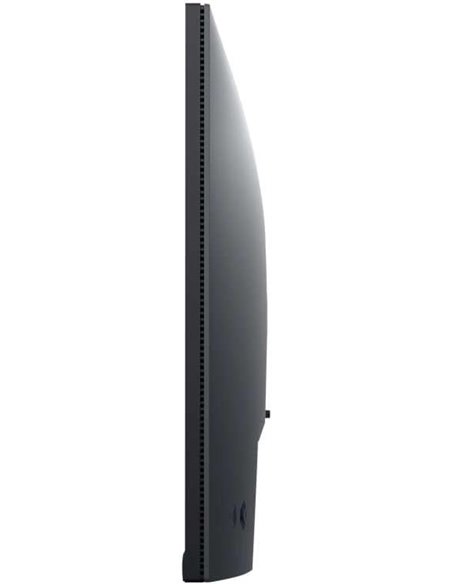 23.8” Монитор DELL P2422H / 5ms / FHD / Black/Silver