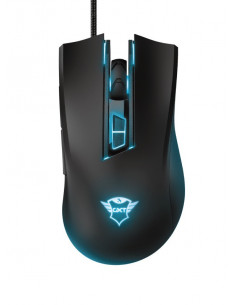 d 2