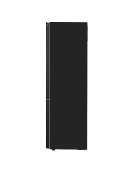 Холодильник LG GBV3200DEP, Graphite Black