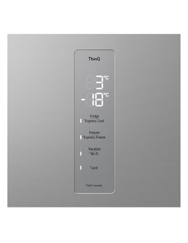 Frigider LG GBV5250EPY, Oțel inoxidabil