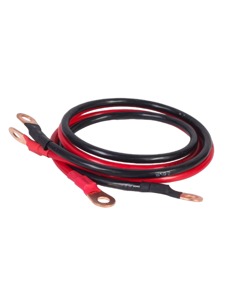Invertor Auto Energenie EG-PWC-PS1000-01, 1000W, Multicolor