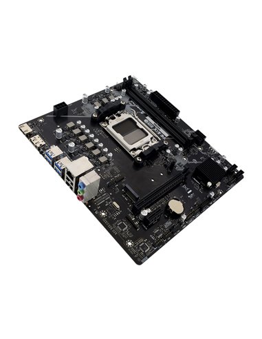 Материнская плата BIOSTAR A620MS / AM5 / A620 / DDR5 / mATX