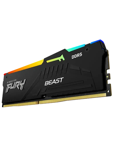 Оперативная память Kingston FURY Beast RGB, DDR5 SDRAM, 5600 МГц, 32 ГБ, KF556C36BBEA-32