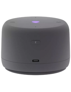 Difuzor Inteligent Yandex Station Light 2 YNDX-00028GRY, Grafit 2